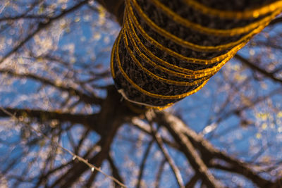 Low angle view of led lights on tree