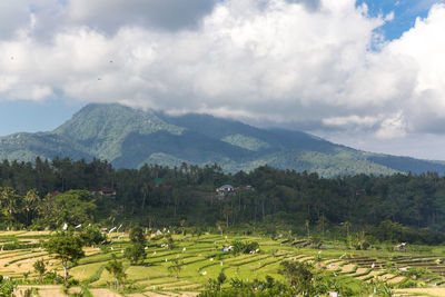 Scenic view of landscape and mountains against sky