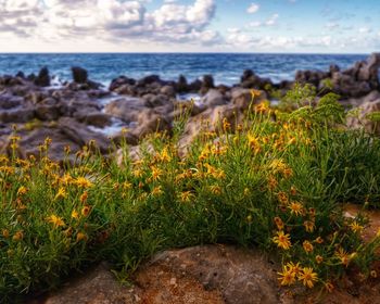 Scenic view of sea against sky