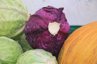 Close-up of purple and white cabbage and yellow colored melon 
