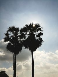 Low angle view of silhouette tree against sky