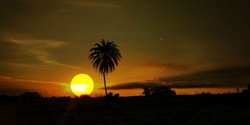 Silhouette palm trees against sky during sunset