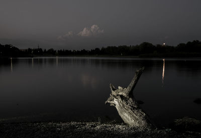 Dead tree trunk by lake against sky at dusk