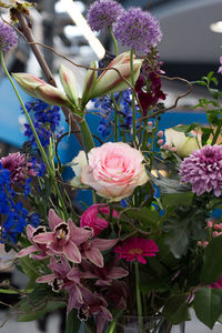Close-up of pink roses blooming outdoors