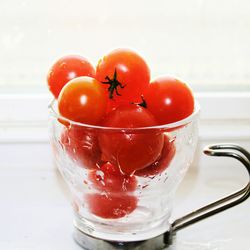 Close-up of red berries