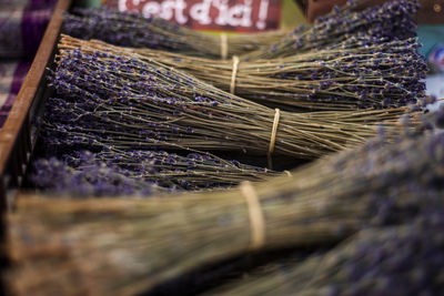 Close-up of firewood for sale in market