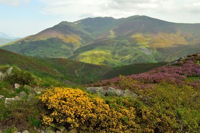 Cellon peak in the central area of the cantabric range. the scenery is full of colour in springtime.
