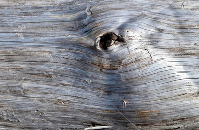 Full frame shot of wood