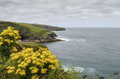 Scenic view of sea against cloudy sky