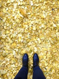 Low section of person standing on autumn leaves