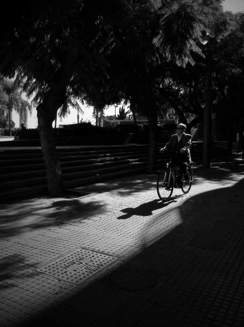 tree, shadow, sunlight, footpath, the way forward, tree trunk, street, park - man made space, road, growth, sidewalk, walkway, transportation, empty, outdoors, cobblestone, bench, nature, park, pathway