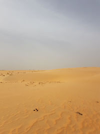 Scenic view of desert against sky