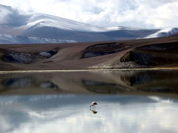 Scenic view of lake by snowcapped mountains against sky