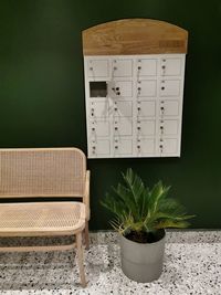 Potted plant on table against wall
