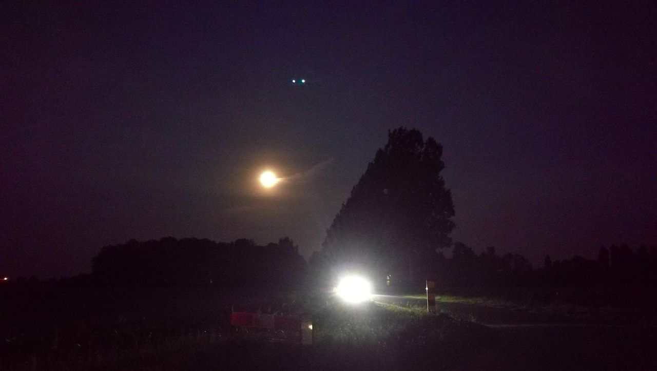 SILHOUETTE TREES AT NIGHT