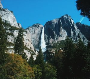 Low angle view of waterfall in forest