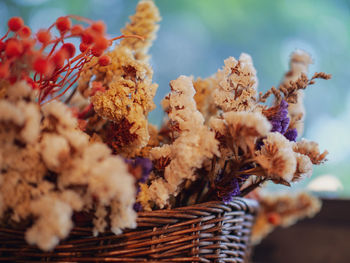 Close-up of flowering plant in basket on table