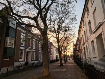 Street amidst bare trees against sky