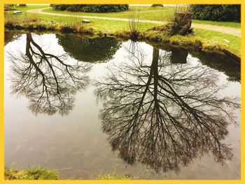 Reflection of trees in lake