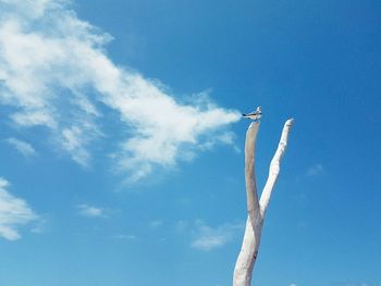 Low angle view of airplane flying against blue sky