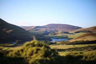 Scenic view of landscape against clear sky