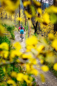 Full length of man with bicycle in forest