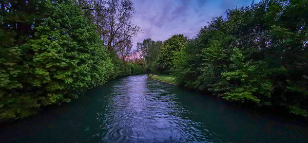 River amidst trees in forest against sky