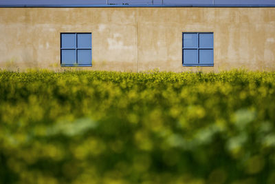 House on field against building