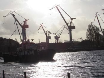 Cranes at harbor