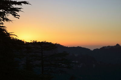 Silhouette of trees at sunset