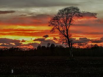 Silhouette tree on field against romantic sky at sunset
