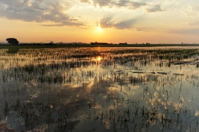 Scenic view of lake against sky during sunset