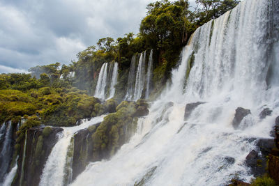 Scenic view of waterfall in forest