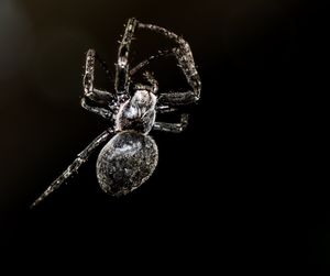 Close-up of illuminated lamp over black background