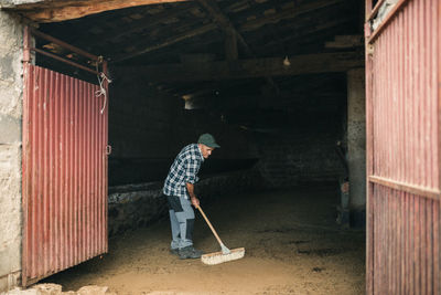 Senior male goat herder cleaning shed