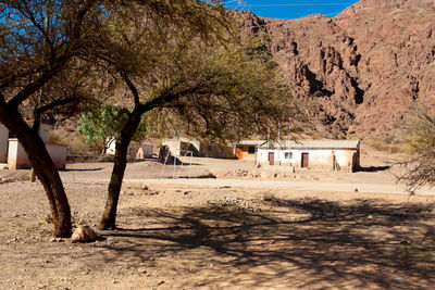 Trees and houses on landscape against mountain