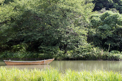 Scenic view of lake amidst trees in forest