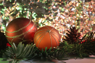 Close-up of christmas tree