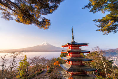 Rare scene of chureito pagoda and mount fuji with morning fog, japan in autumn