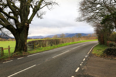 Empty road along trees and landscape