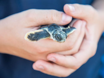 Close-up of person holding hands