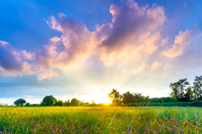 Scenic view of field against sky during sunset