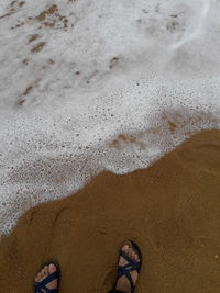 Low section of man standing on beach