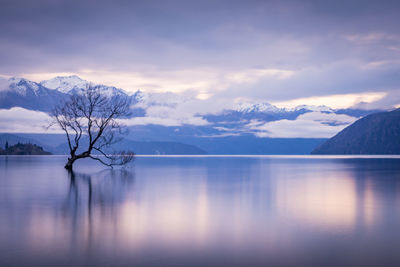 Scenic view of lake and snowcapped mountains against sky