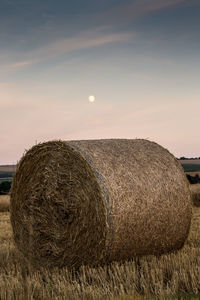 Hay bale on field at dusk