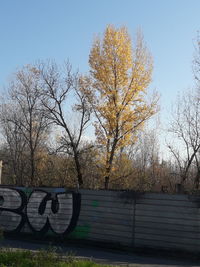 Bare trees on field against sky during autumn