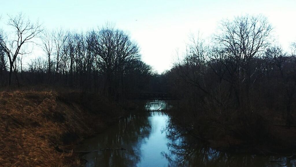 bare tree, water, tree, reflection, tranquility, tranquil scene, clear sky, lake, scenics, nature, beauty in nature, river, branch, waterfront, sky, non-urban scene, canal, standing water, outdoors, stream