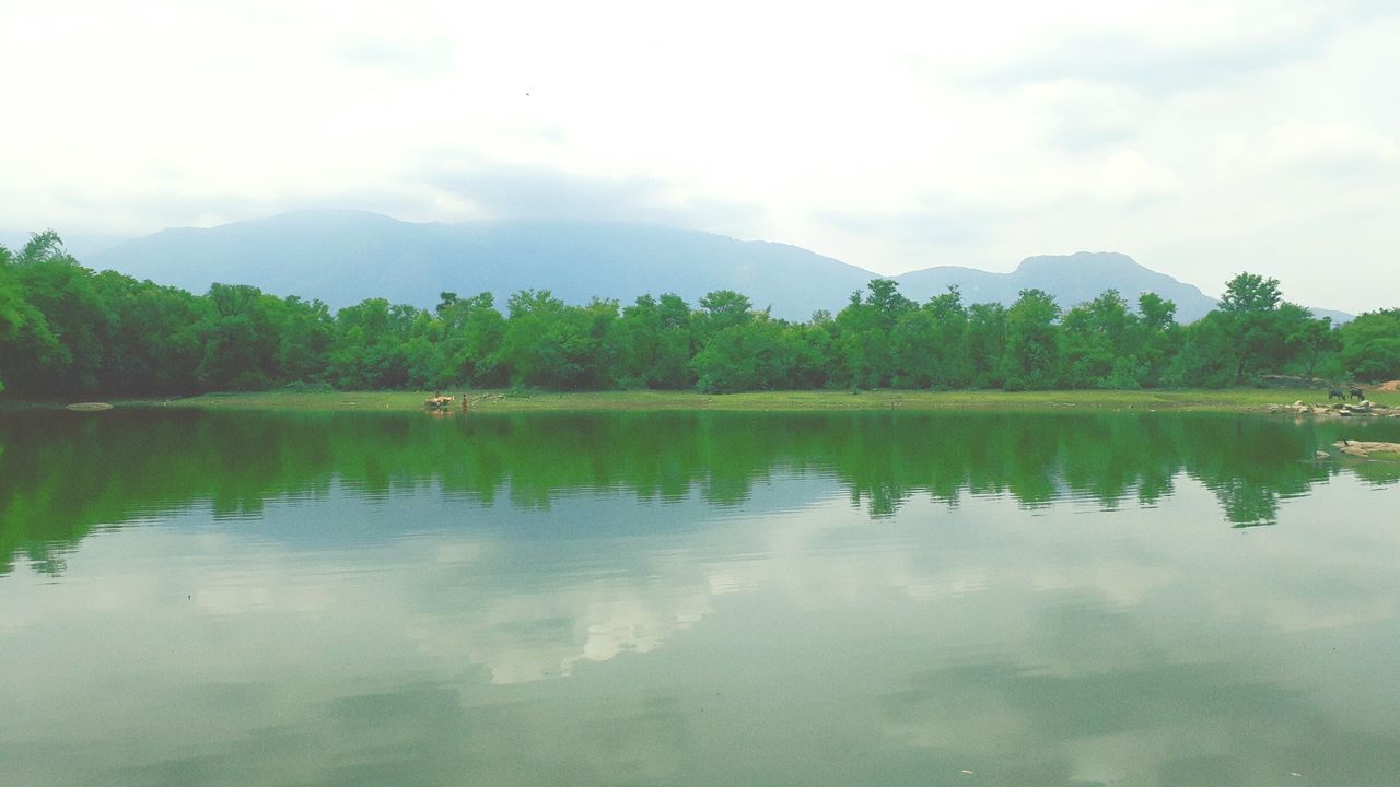 reflection, water, tree, lake, no people, tranquil scene, tranquility, sky, waterfront, nature, outdoors, scenics, day, cloud - sky, beauty in nature, mountain