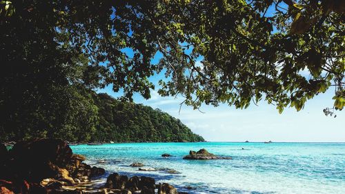 Scenic view of sea against sky