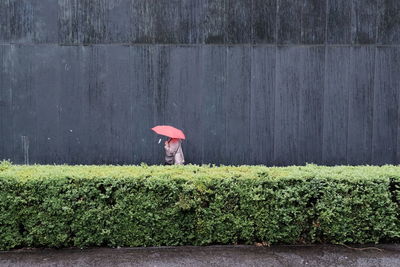 Woman standing on wet land